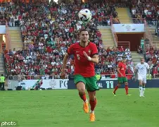 葡萄牙险胜爱尔兰，晋级机会大增